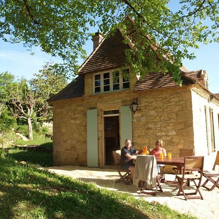 Cozy Cottage In Aquitaine With Private Swimming Pool Peyzac-le-Moustier Eksteriør billede